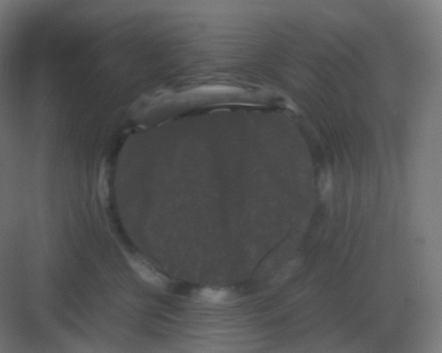 X0000081330570200702082205