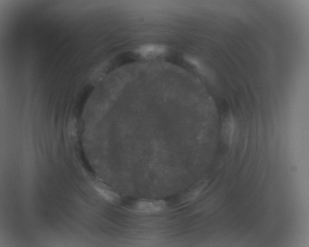 X0000081330571200702082205