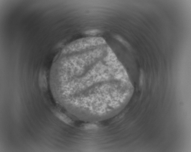 X0000081330572200702082205