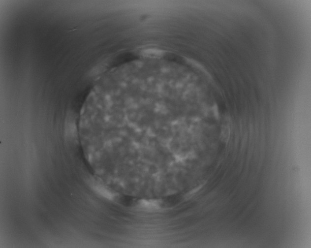 X0000081330573200702082205