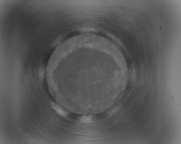 X0000081330574200702082205