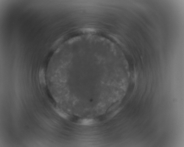 X0000081330575200702082205