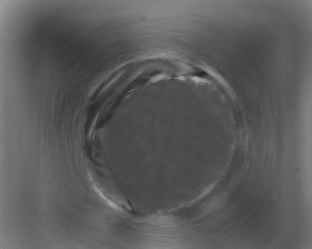 X0000081330577200702082204