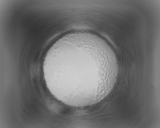 X0000081330583200702082204