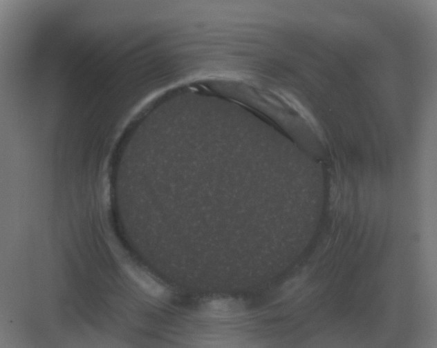 X0000081330584200702082204