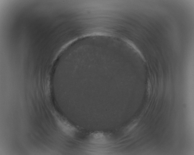 X0000081330588200702082204