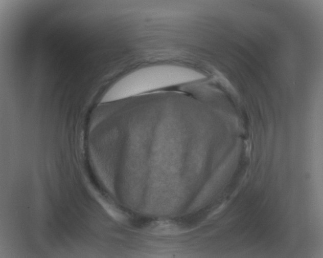 X0000081330589200702082204