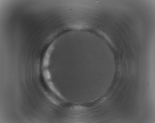 X0000081330590200702082204