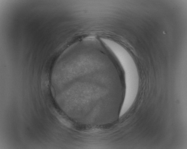 X0000081330593200702082204