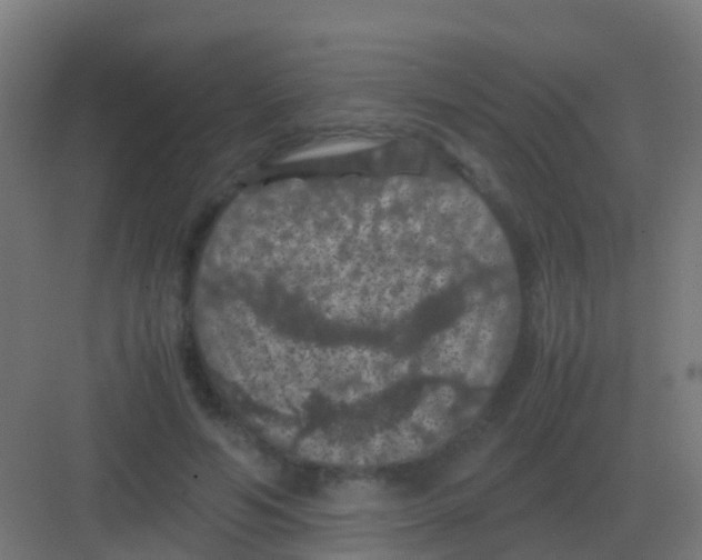 X0000081330594200702082204