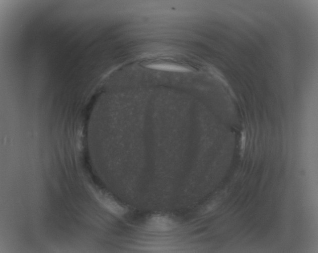 X0000081330596200702082204