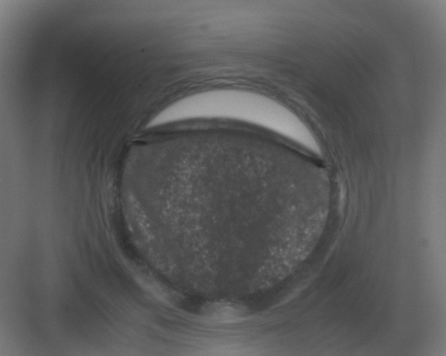 X0000081330597200702082204