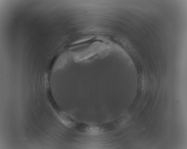 X0000081330598200702082204