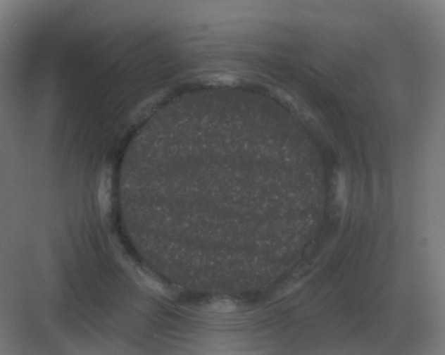 X0000081330600200702082204