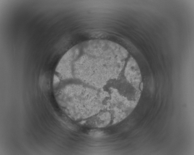 X0000081330602200702082204