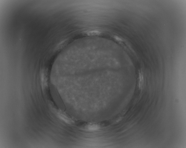 X0000081330604200702082204