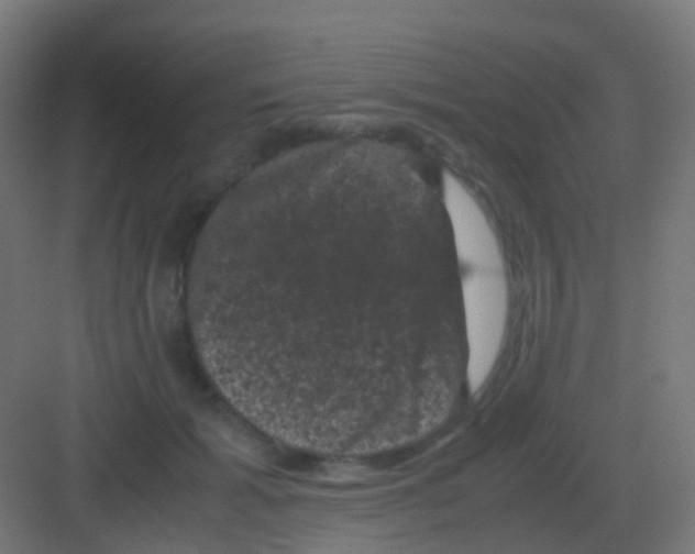 X0000081330605200702082204