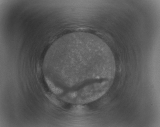 X0000081330607200702082204