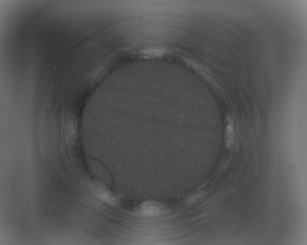 X0000081330608200702082204