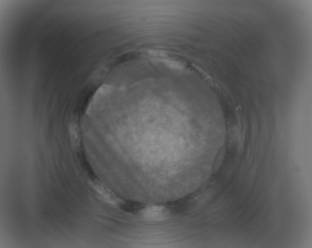 X0000081330609200702082204