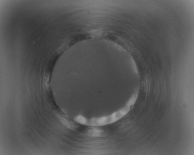 X0000081330610200702082204