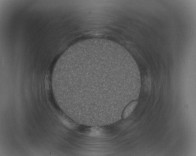 X0000081330612200702082204