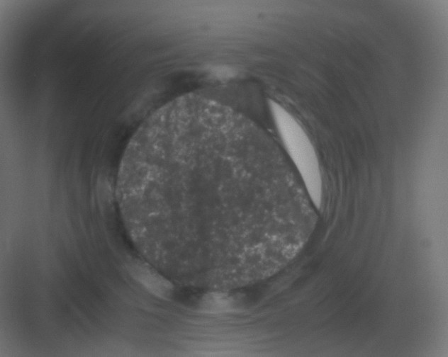 X0000081330613200702082204