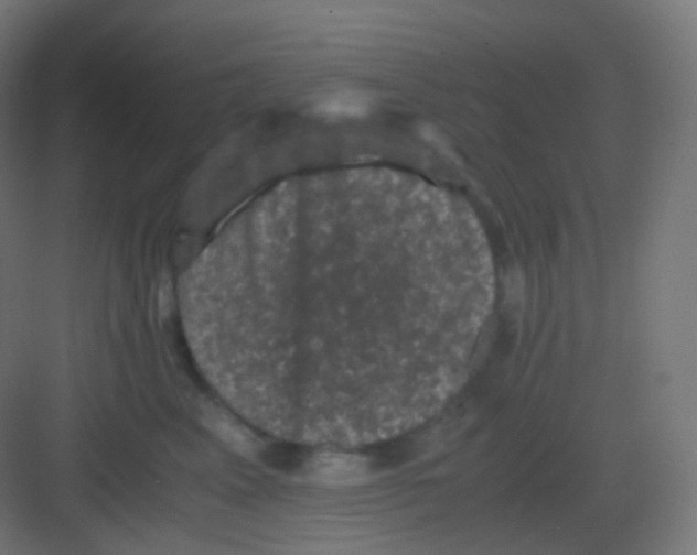 X0000081330617200702082204