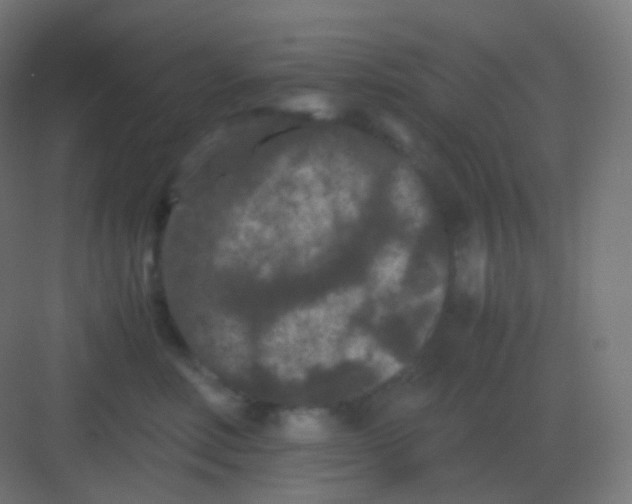 X0000081330618200702082204