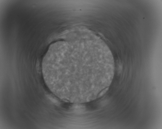 X0000081330619200702082204