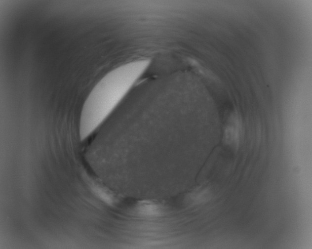 X0000081330620200702082204