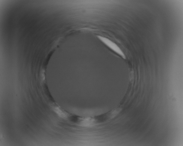 X0000081330621200702082204