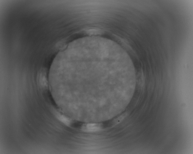 X0000081330622200702082204