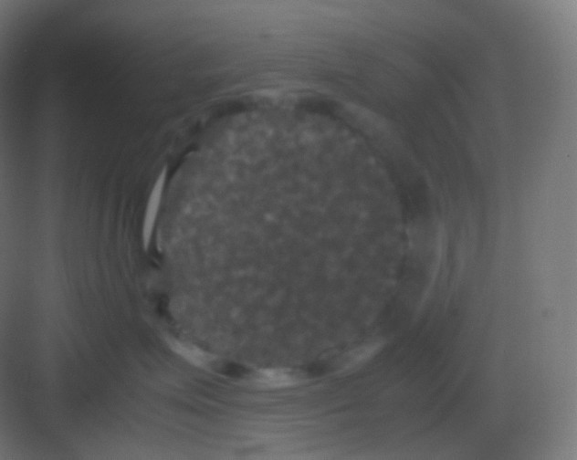 X0000081330623200702082204