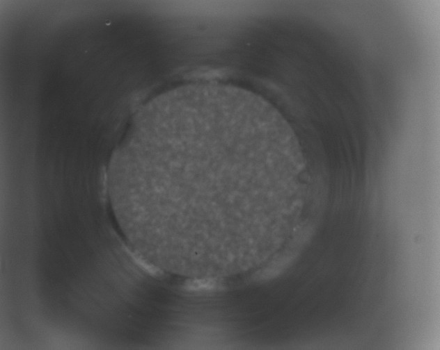 X0000081330624200702082204