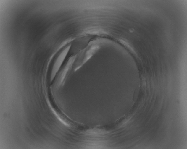 X0000081330630200702082203