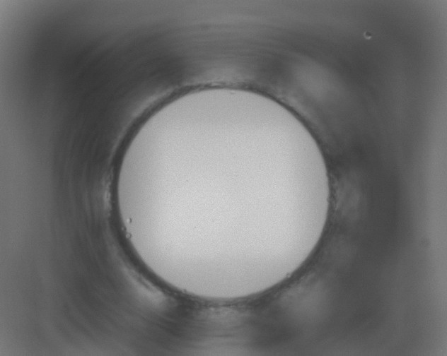 X0000081330632200702082203