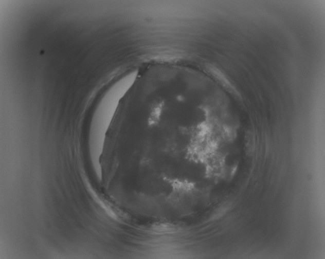 X0000081330634200702082203