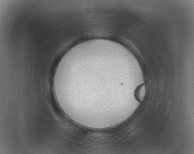 X0000081330635200702082203