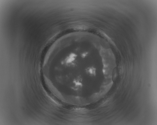 X0000081330637200702082203