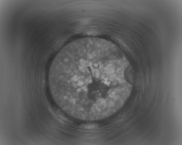 X0000081330639200702082203