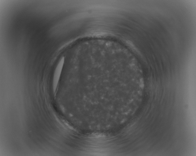 X0000081330640200702082203