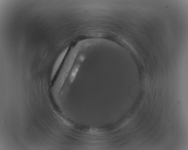 X0000081330641200702082203