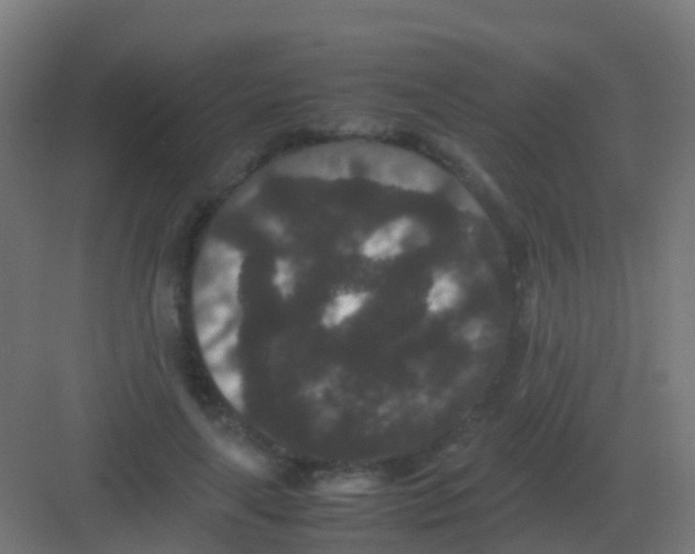 X0000081330643200702082203