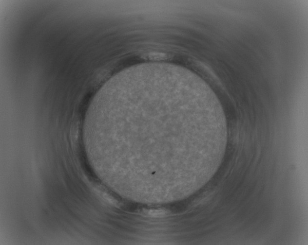 X0000081330645200702082203