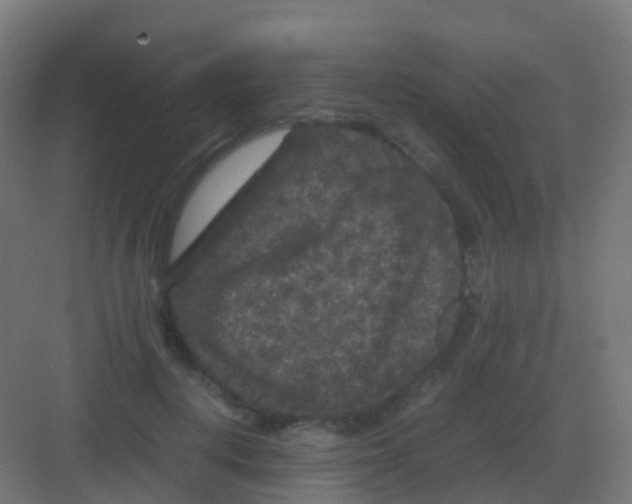 X0000081330648200702082203