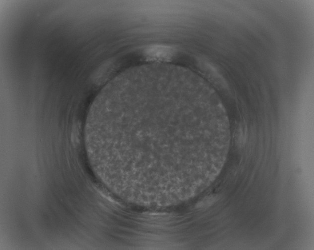 X0000081330649200702082203