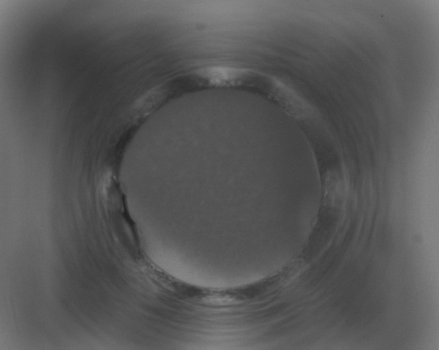 X0000081330650200702082203