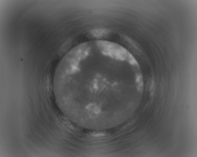 X0000081330651200702082203