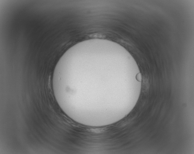 X0000081330652200702082203